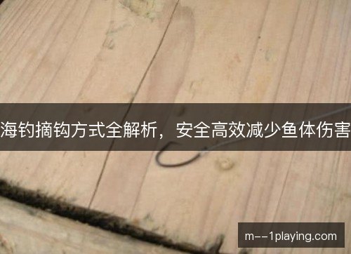 海钓摘钩方式全解析，安全高效减少鱼体伤害
